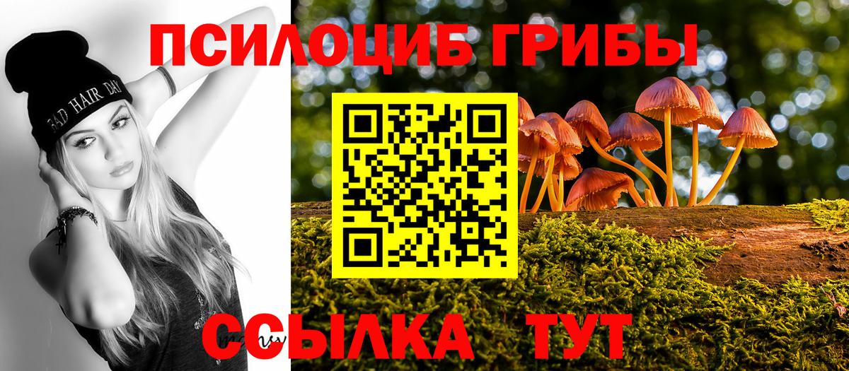 Арзамас  закладки  Вход с VPN  Псилоцибиновые грибы MAGIC MUSHROOMS 