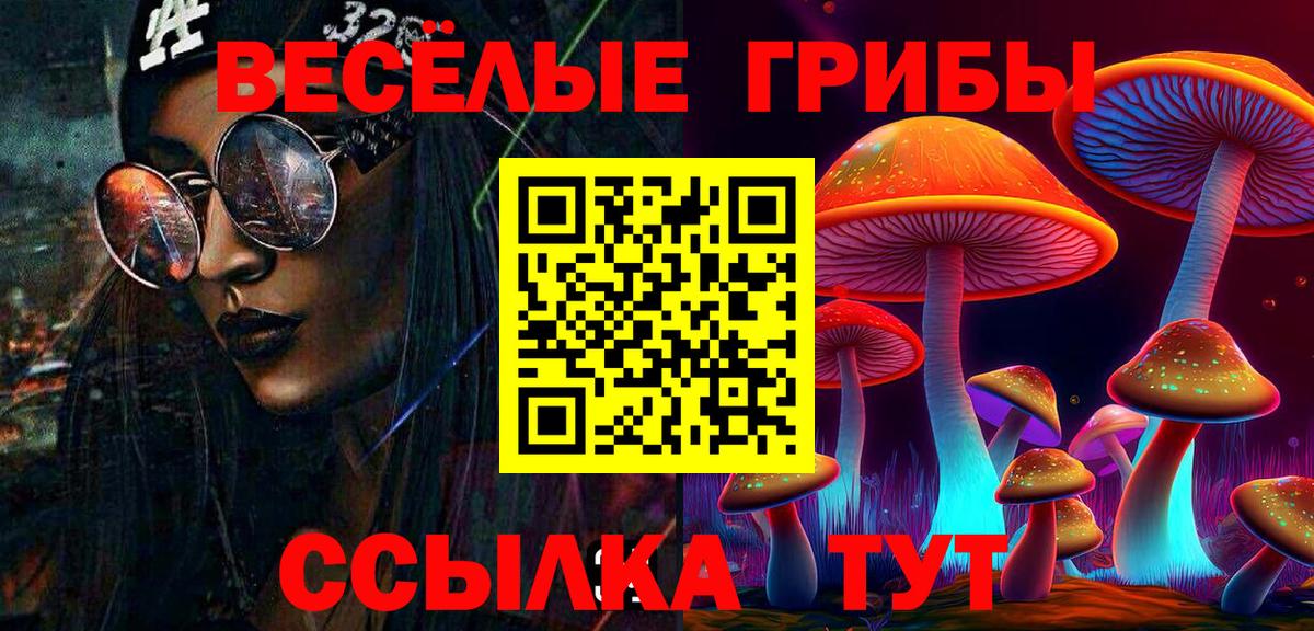 Псилоцибиновые грибы GOLDEN TEACHER Арзамас
